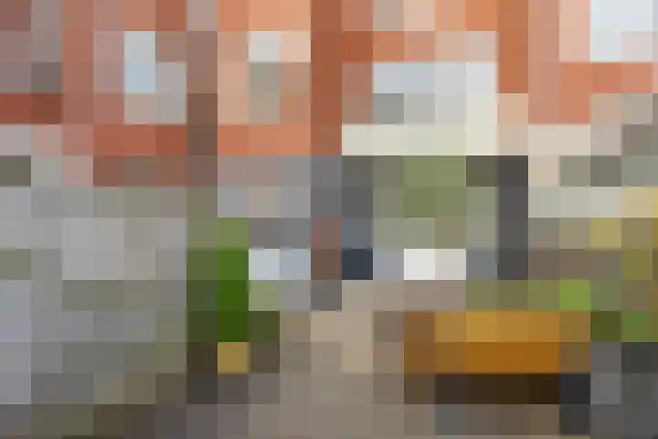 J.C. Kapteynlaan 3 Groningen thumbnail 20