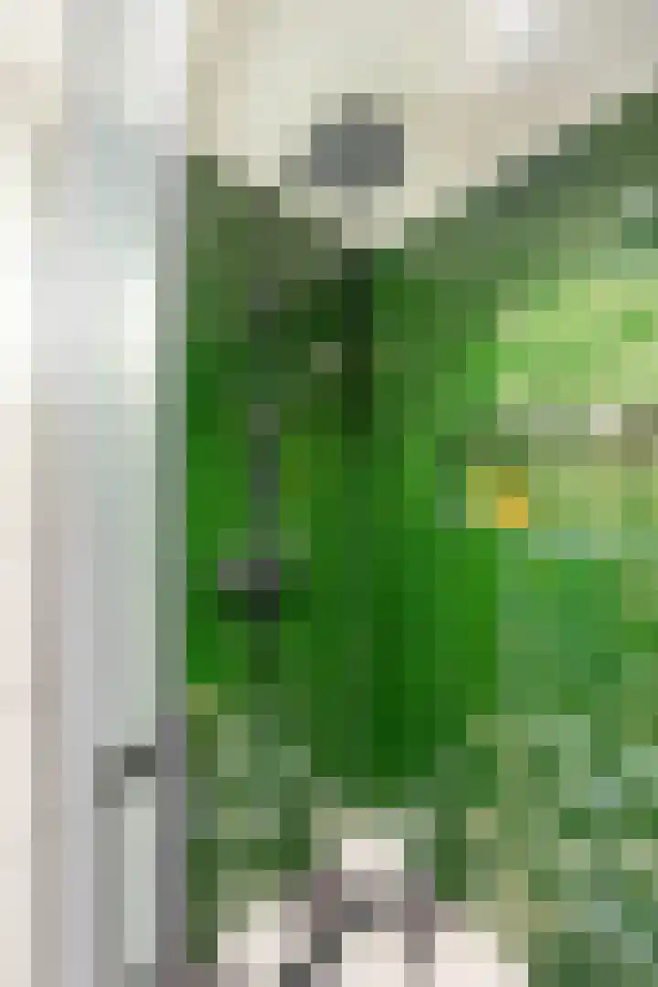 J.C. Kapteynlaan 3 Groningen thumbnail 35