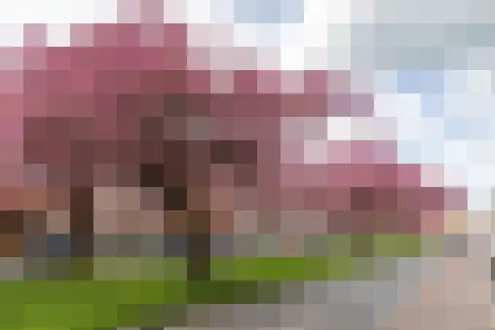 J.C. Kapteynlaan 45 b Groningen thumbnail 46