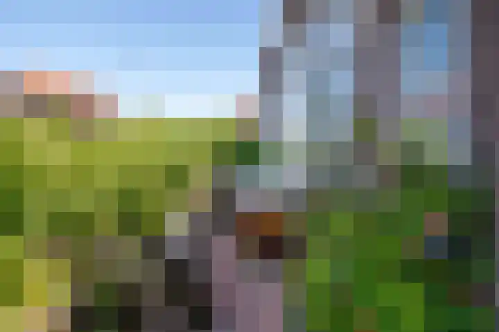 J.C. Kapteynlaan 45 b Groningen thumbnail 6