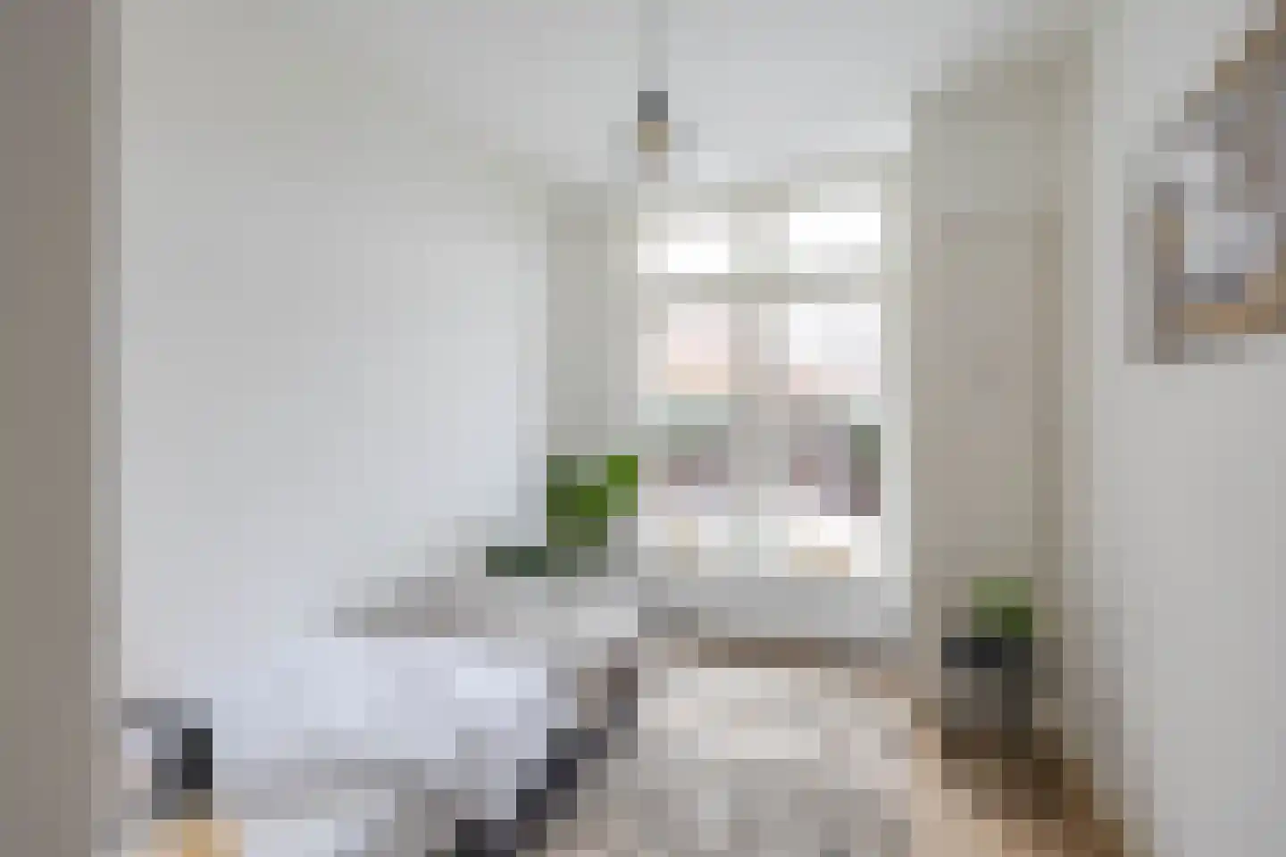 J.C. Kapteynlaan 57 Groningen thumbnail 22