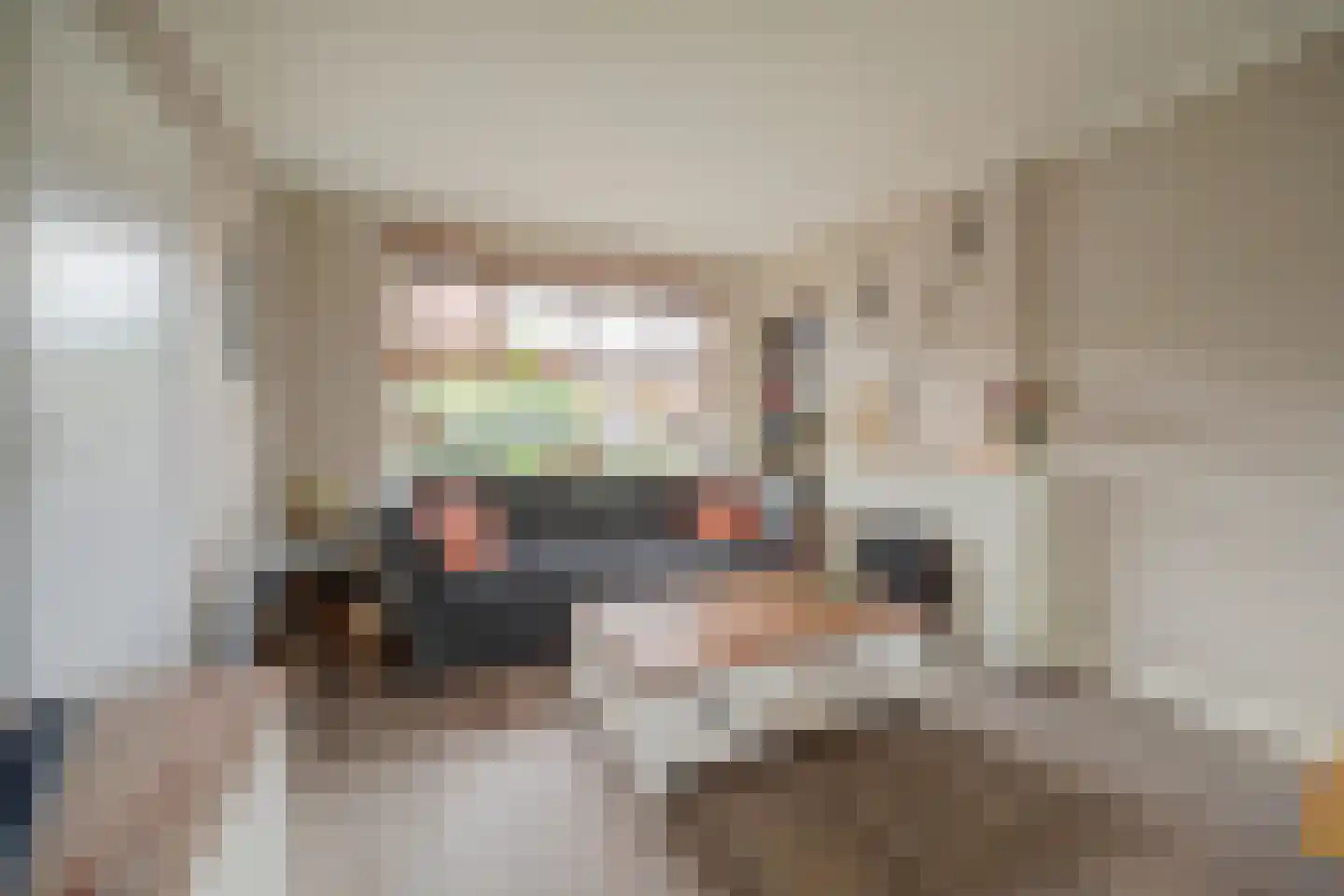 J C Pieckstraat 8 Werkendam thumbnail 11
