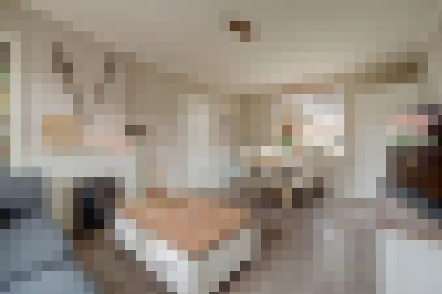 J C Pieckstraat 8 Werkendam thumbnail 12