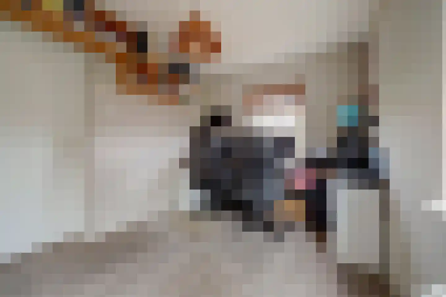 J C Pieckstraat 8 Werkendam thumbnail 20