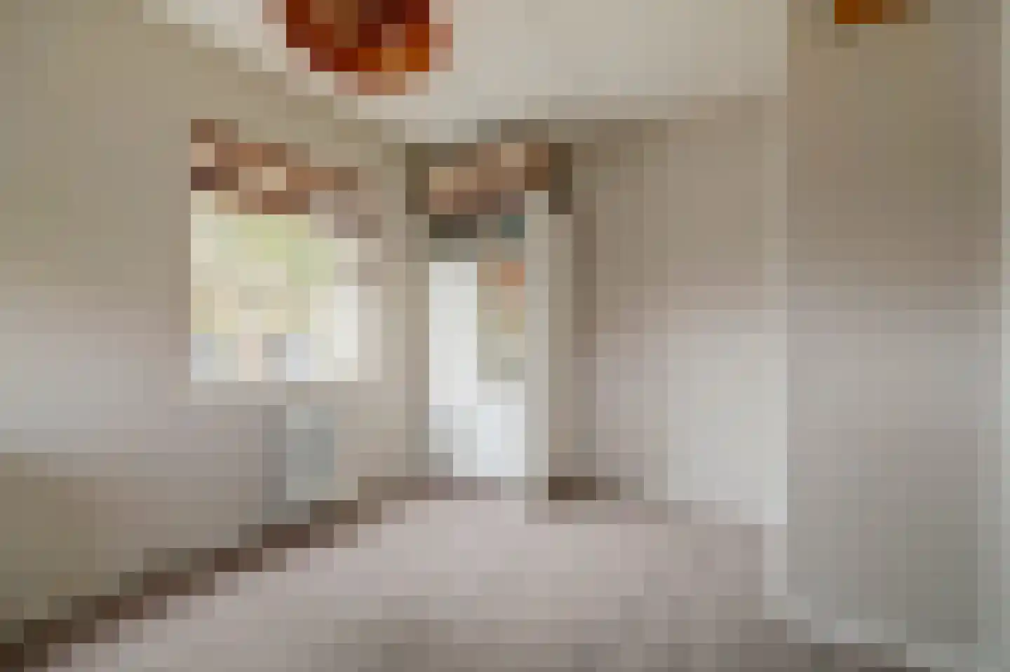 J C Pieckstraat 8 Werkendam thumbnail 21