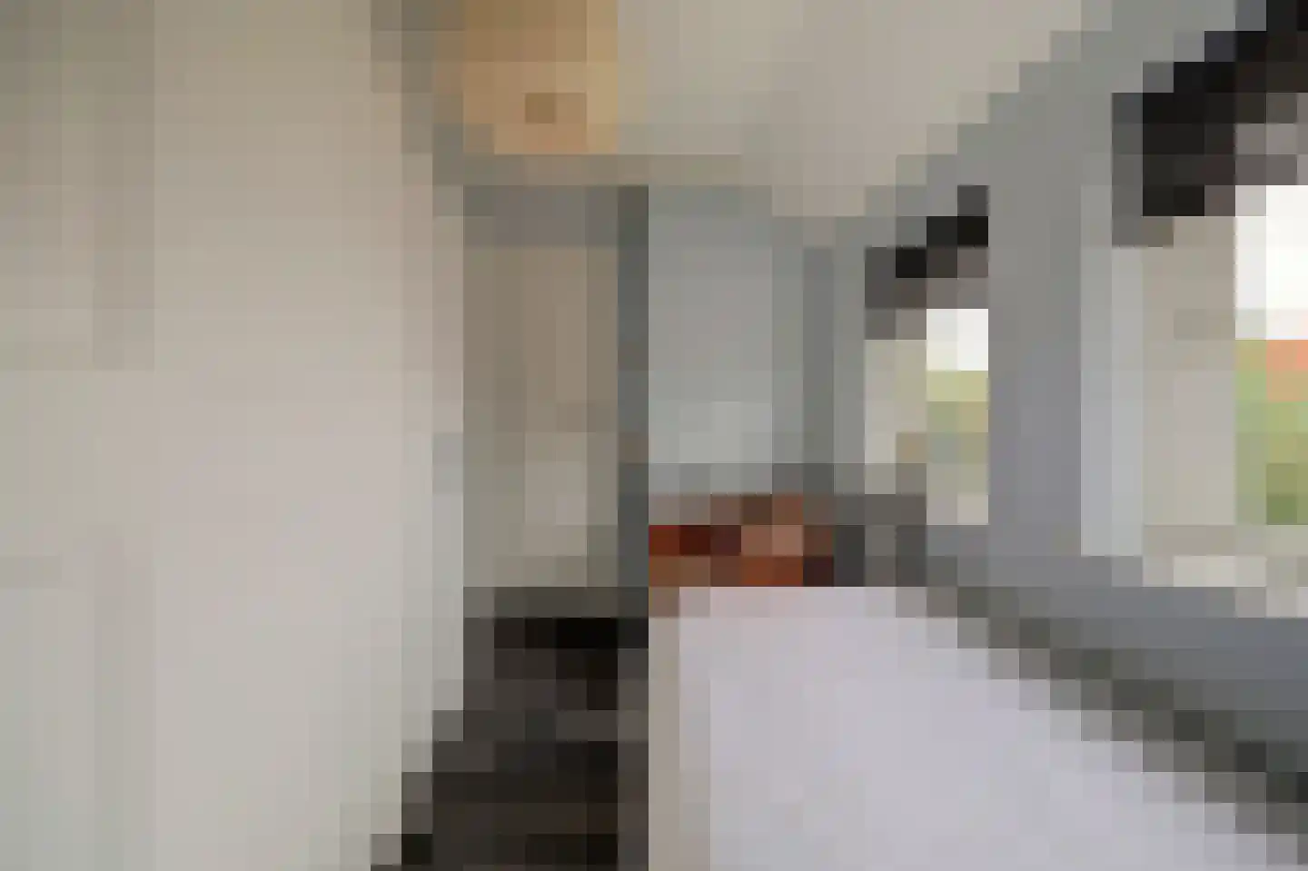 J C Pieckstraat 8 Werkendam thumbnail 28