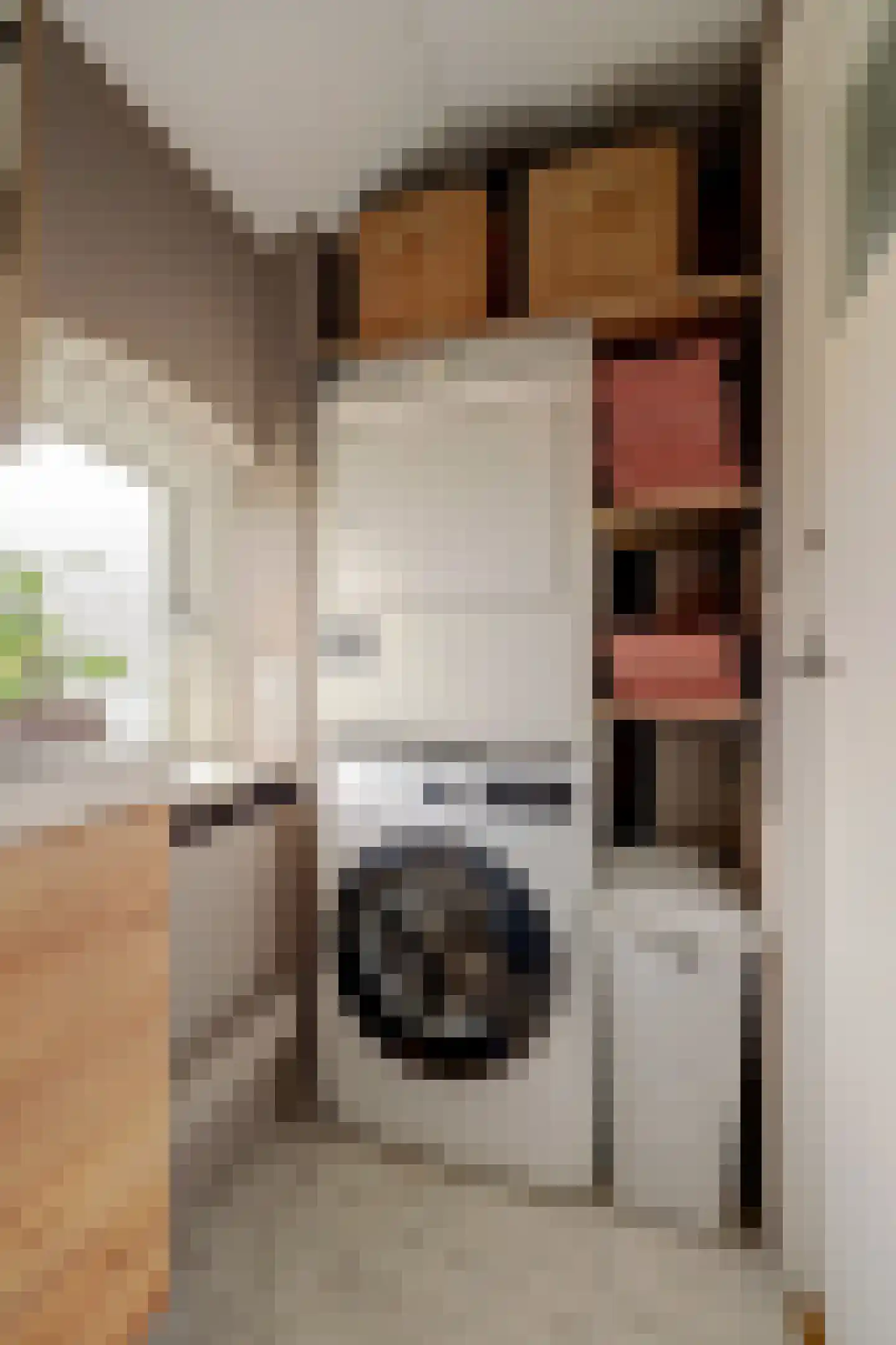 J C Pieckstraat 8 Werkendam thumbnail 29