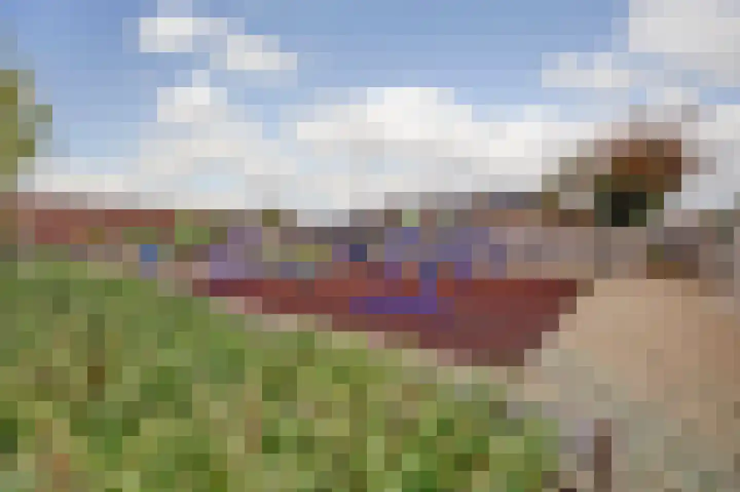 J C Pieckstraat 8 Werkendam thumbnail 38