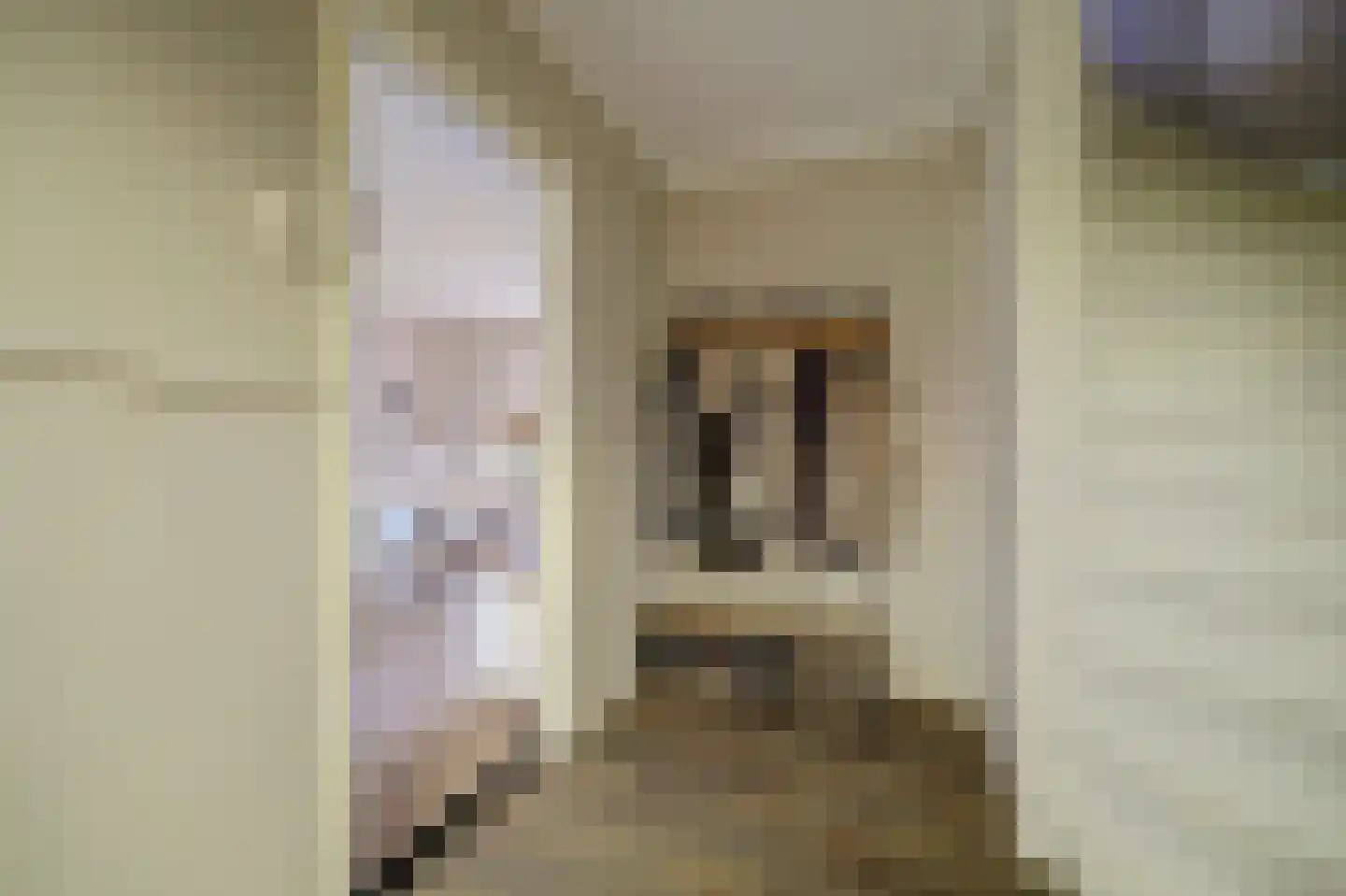J C Pieckstraat 8 Werkendam thumbnail 9