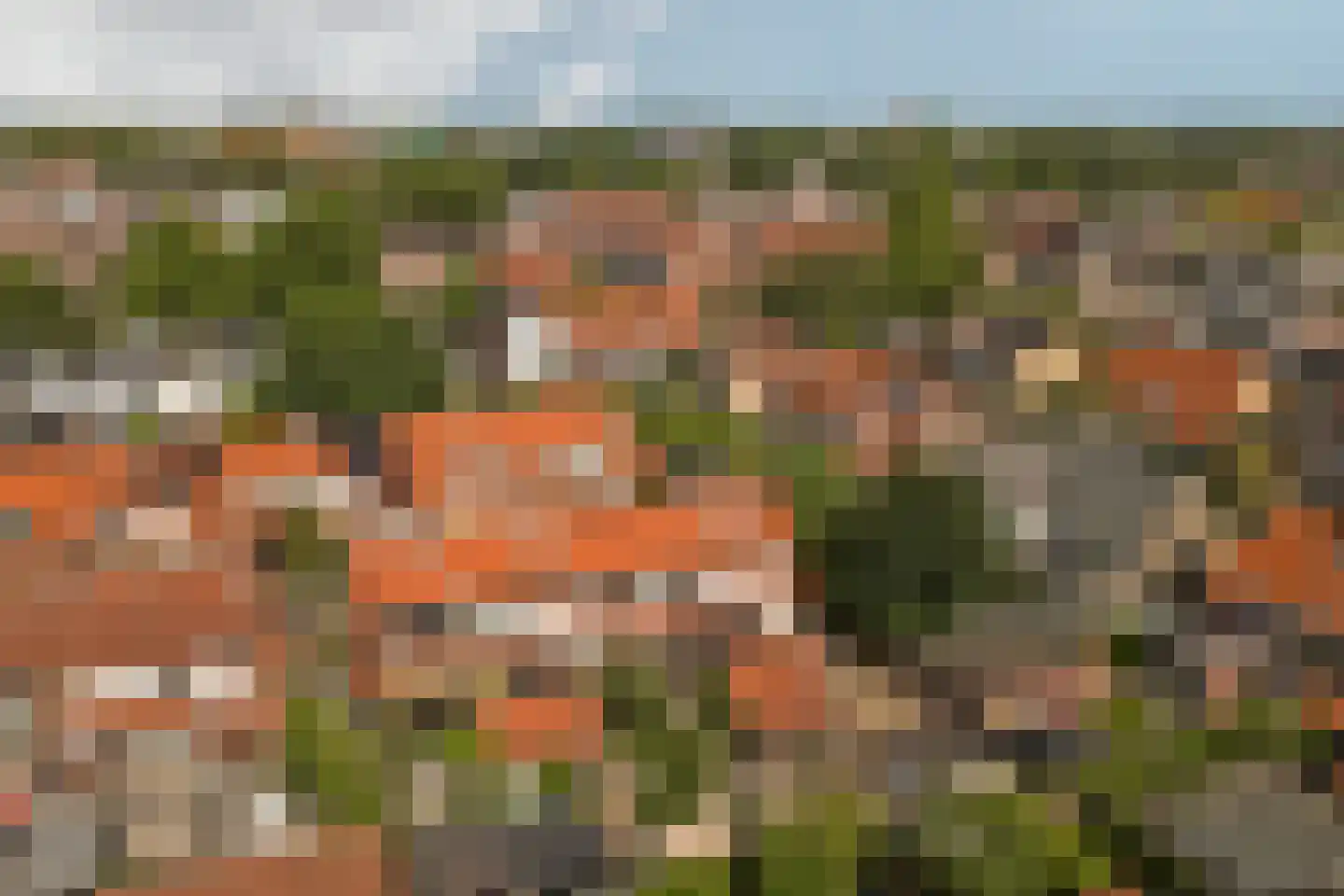 J.C. Rijsdijkstraat 3 Leerdam thumbnail 37