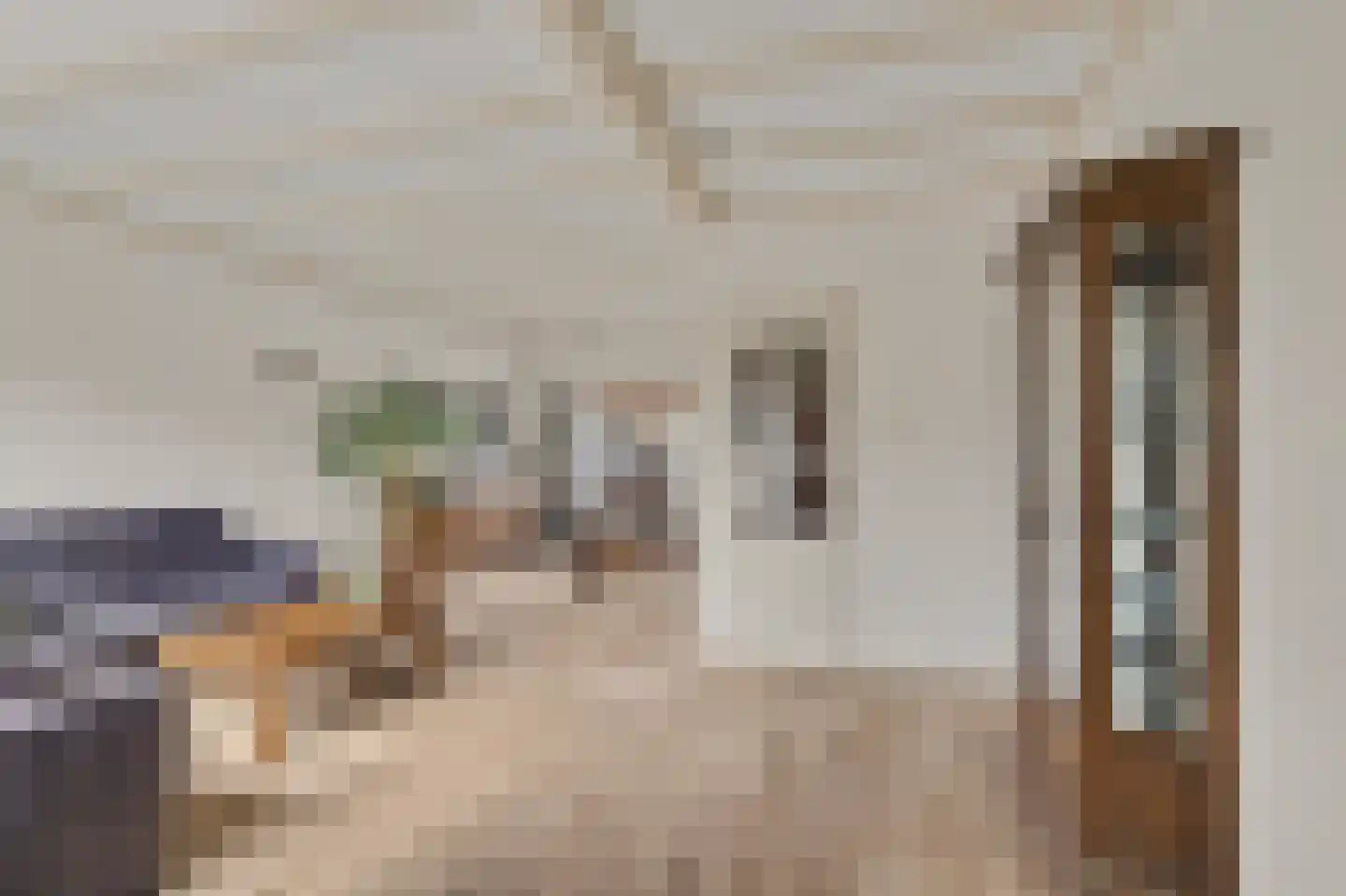 J.C. Rijsdijkstraat 3 Leerdam thumbnail 7