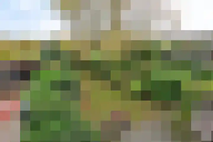 J.C.Ritsemalaan 17 Kortenhoef thumbnail 11