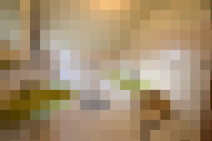 J.C.Ritsemalaan 17 Kortenhoef thumbnail 12