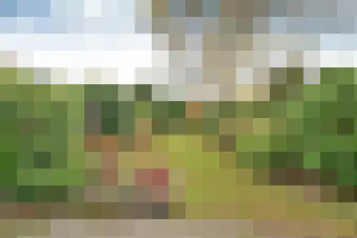 J.C.Ritsemalaan 17 Kortenhoef thumbnail 15