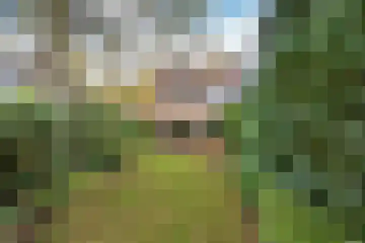 J.C.Ritsemalaan 17 Kortenhoef thumbnail 16
