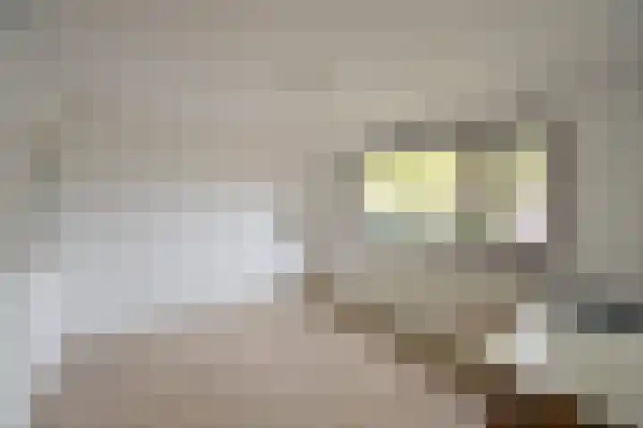 J.C.Ritsemalaan 17 Kortenhoef thumbnail 8