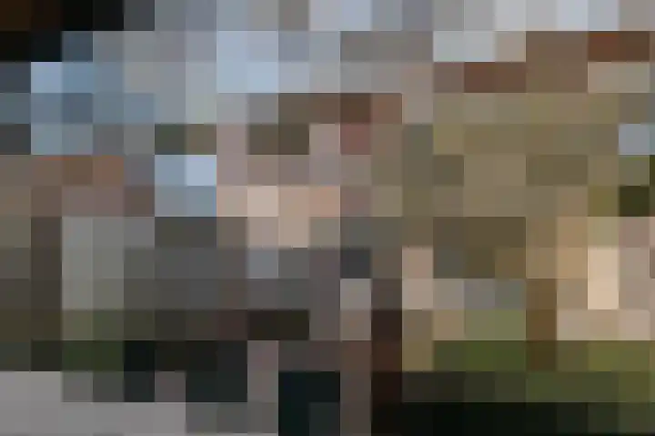 J.C.Ritsemalaan 19 Kortenhoef thumbnail 11