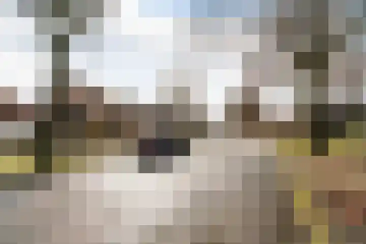 J.C.Ritsemalaan 19 Kortenhoef thumbnail 24