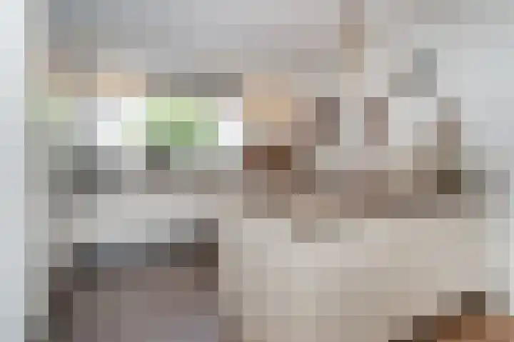 J.C.Ritsemalaan 19 Kortenhoef thumbnail 8