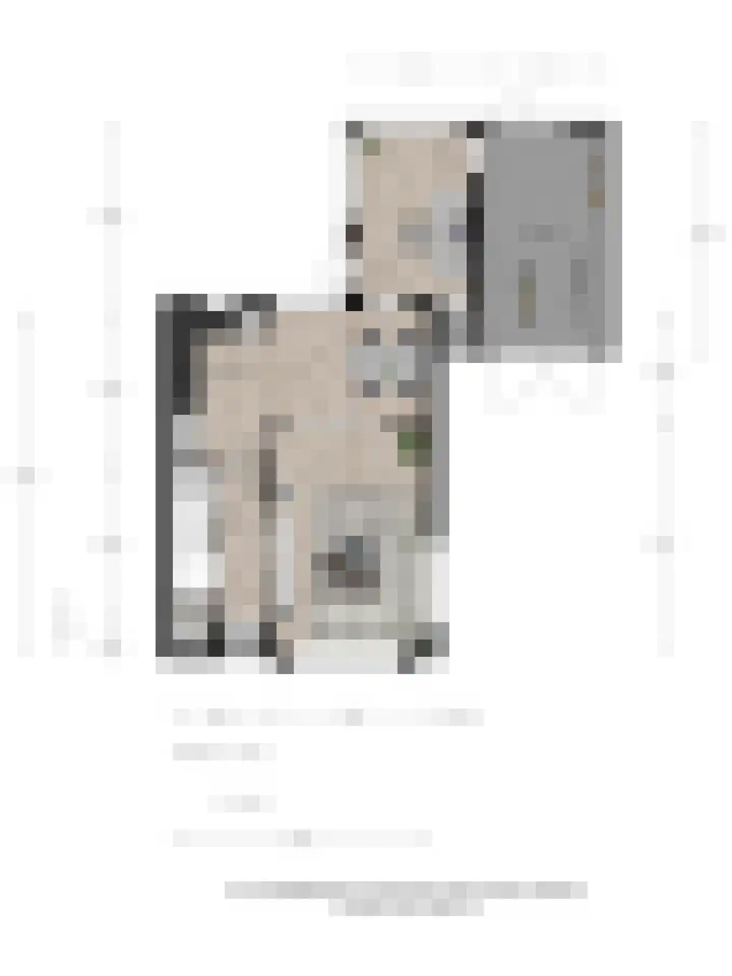 J.C. Romijnlaan 3 Markelo thumbnail 31