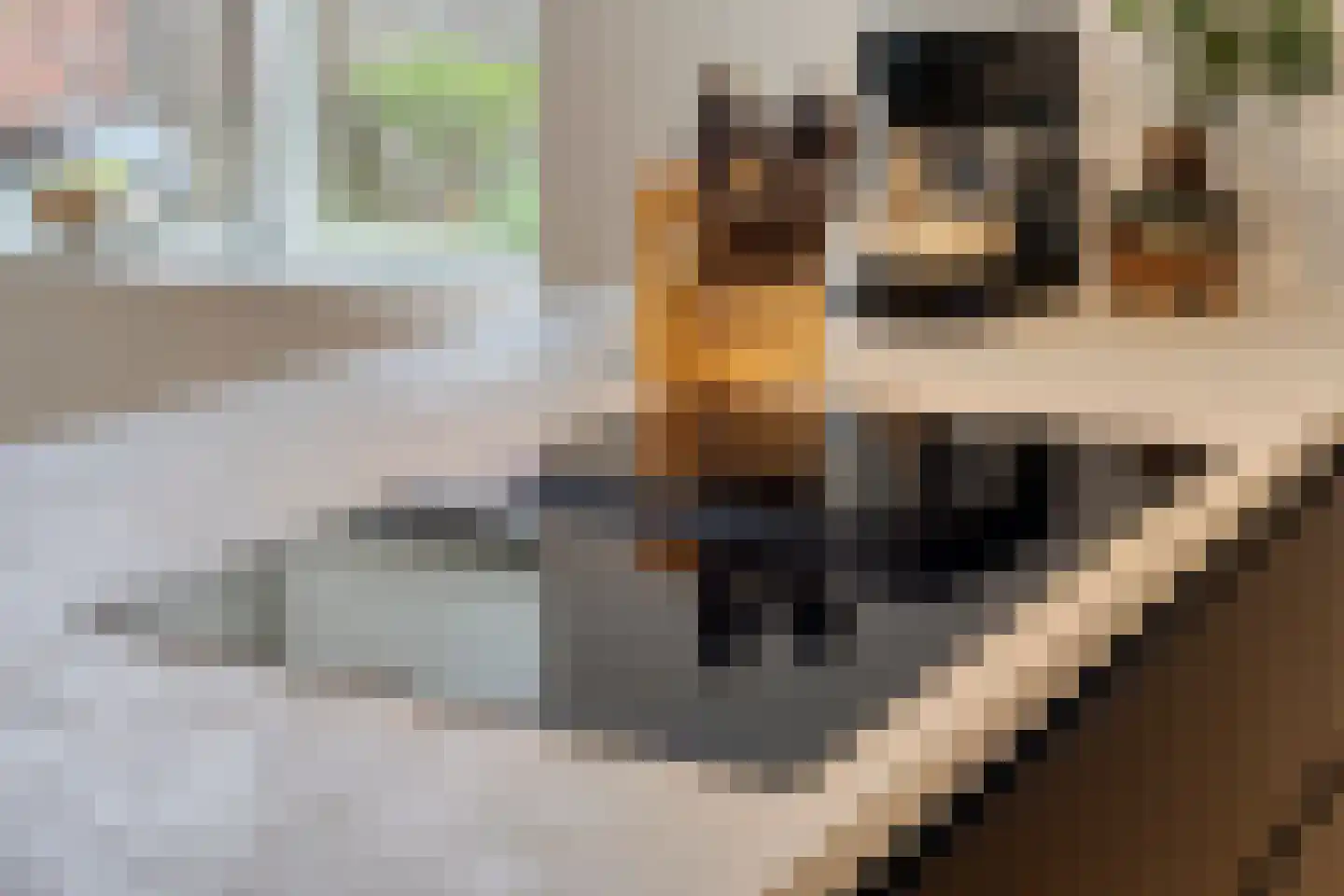 J.C. Romijnlaan 44 Markelo thumbnail 11