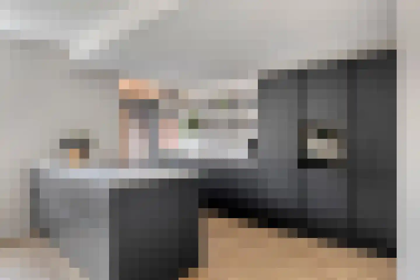 J.C. Romijnlaan 44 Markelo thumbnail 7