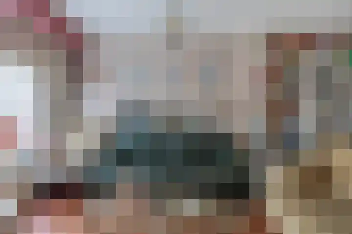 J.C. Sterrenburgstraat 23 Spijkenisse thumbnail 14