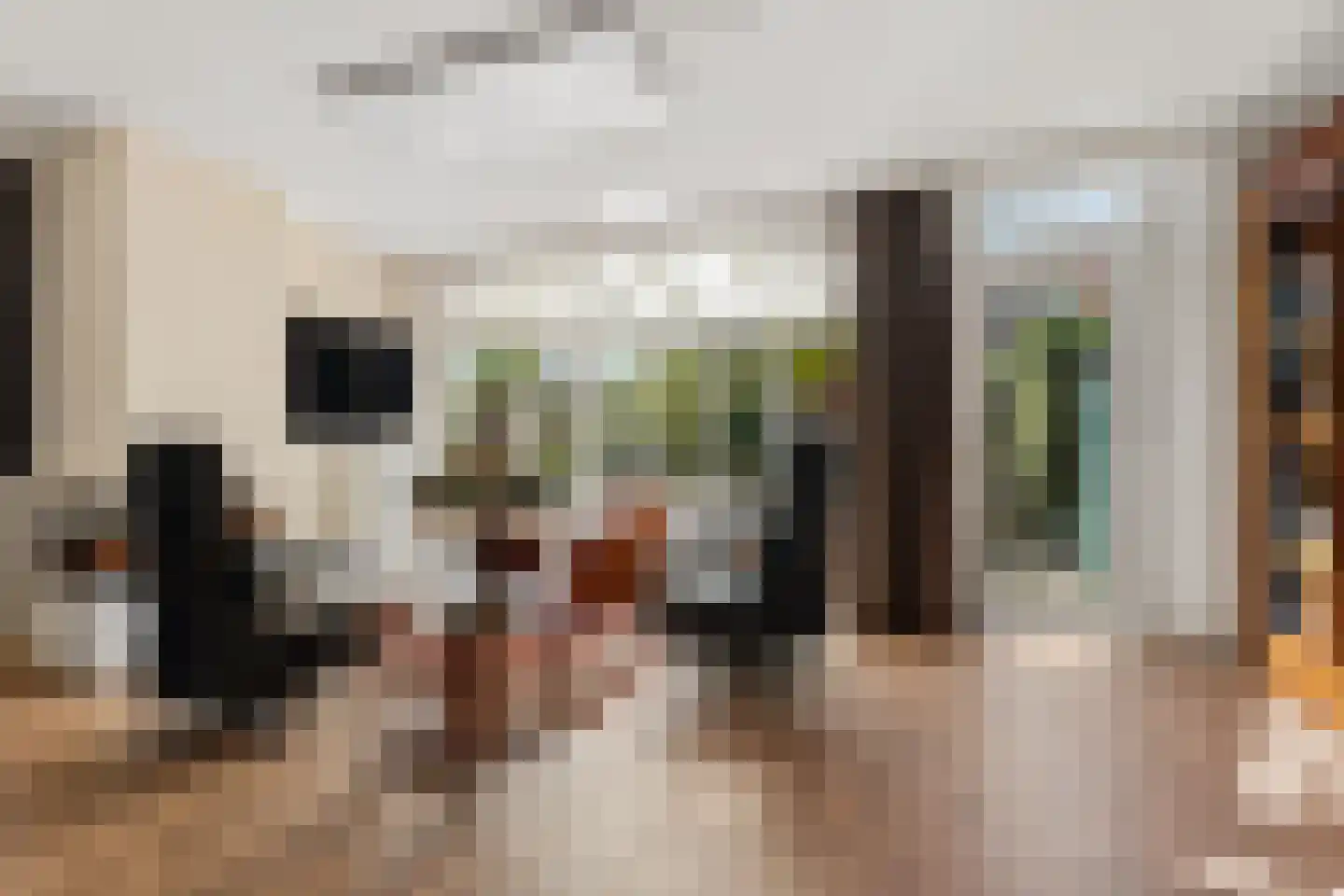 J.C. van der Lansstraat 33 Den Haag thumbnail 10