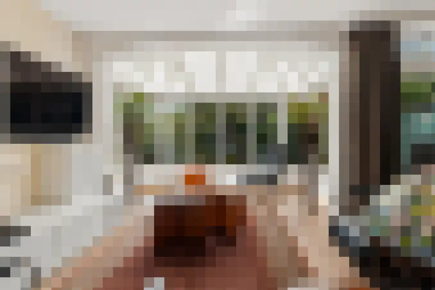 J.C. van der Lansstraat 33 Den Haag thumbnail 13