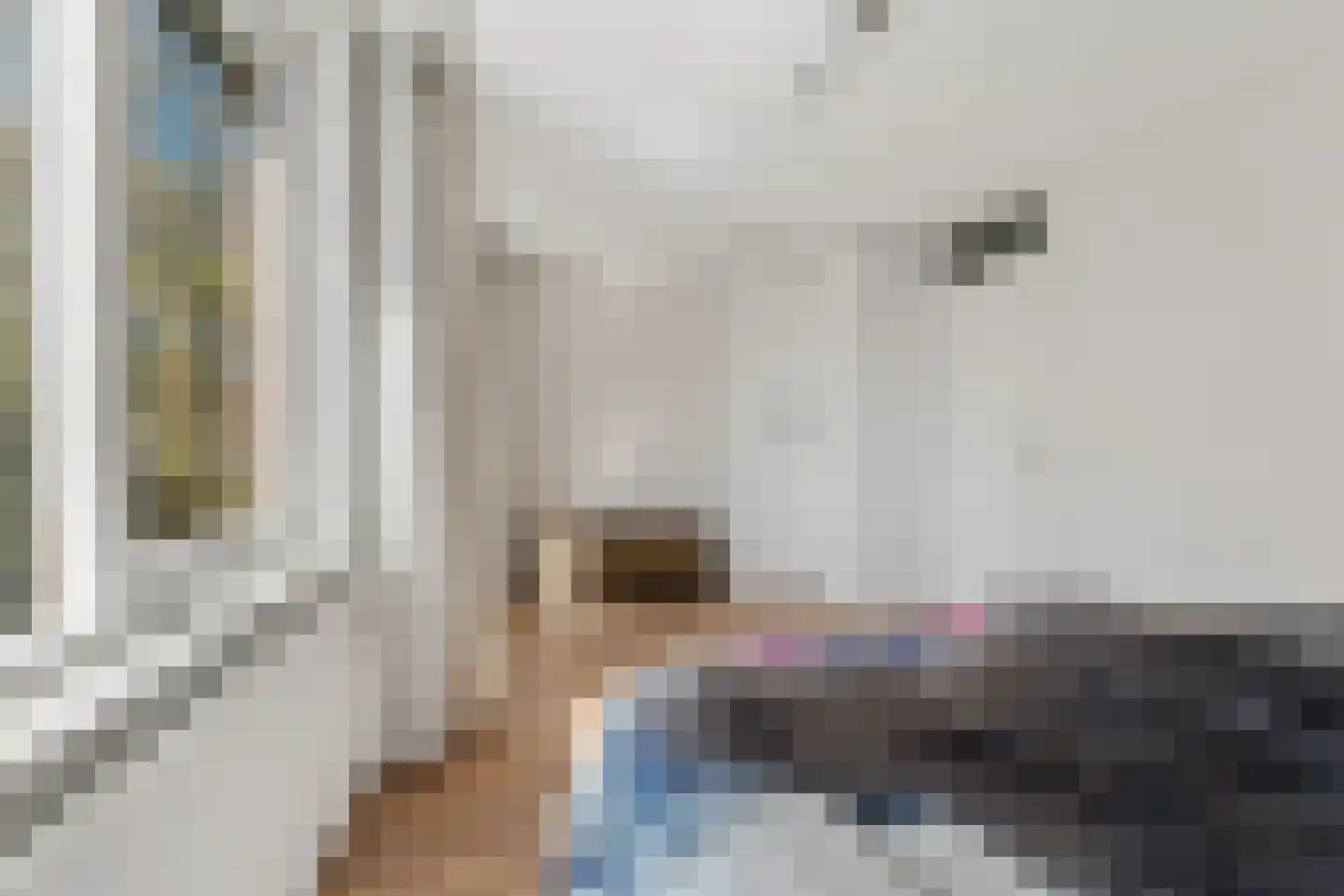 J.C. van der Lansstraat 33 Den Haag thumbnail 29