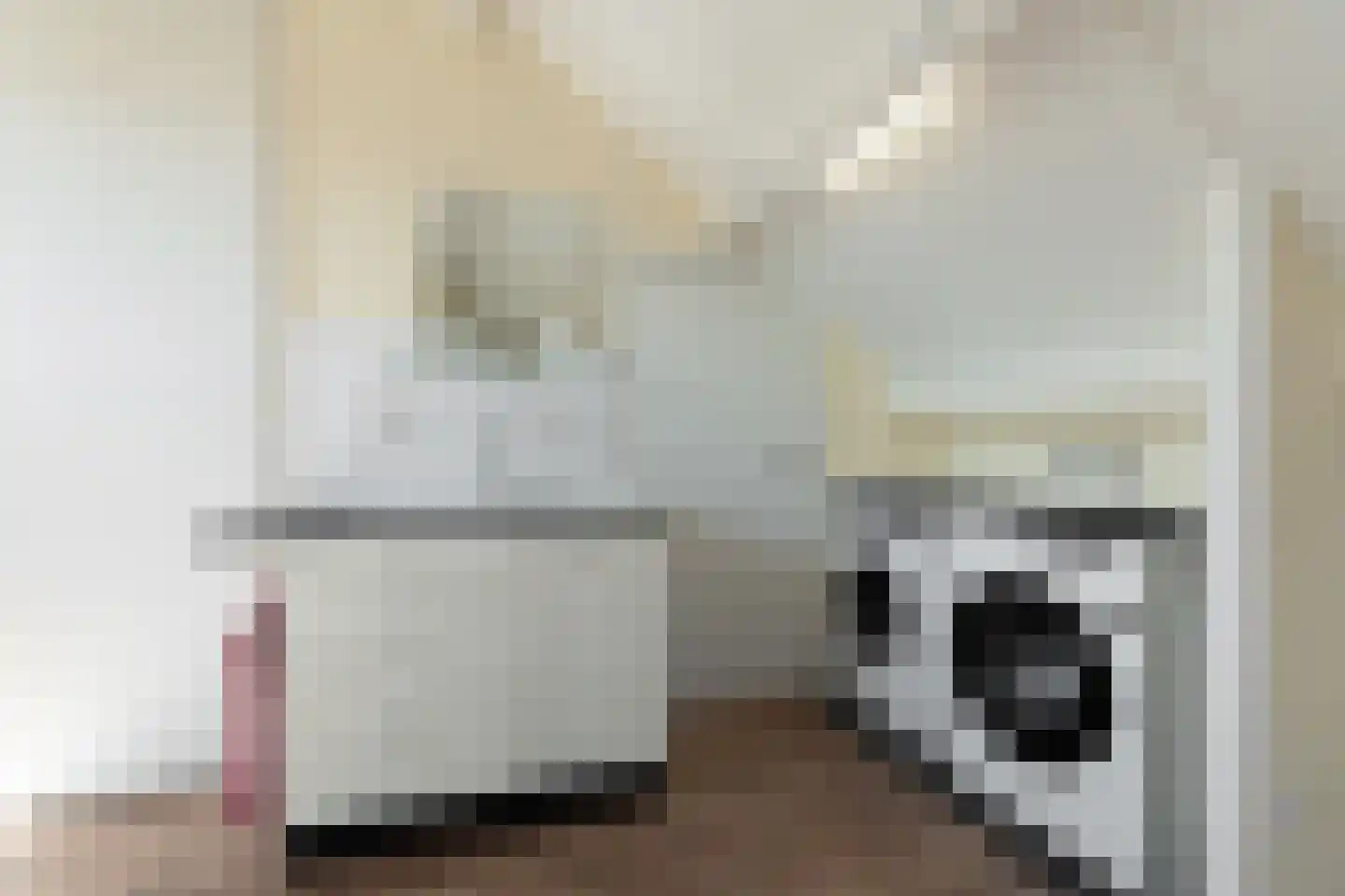 J.C. van der Lansstraat 33 Den Haag thumbnail 36