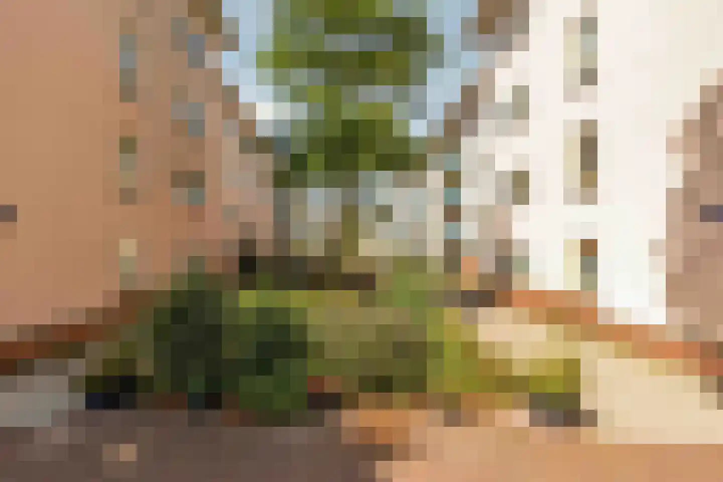J.C. van Epenstraat 36 Amsterdam thumbnail 28