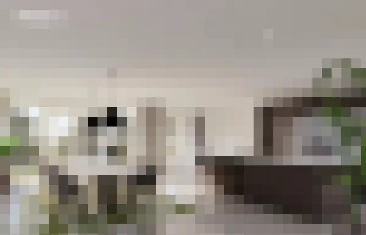 J.C. van Hattumweg 1 B Amstelveen thumbnail 4