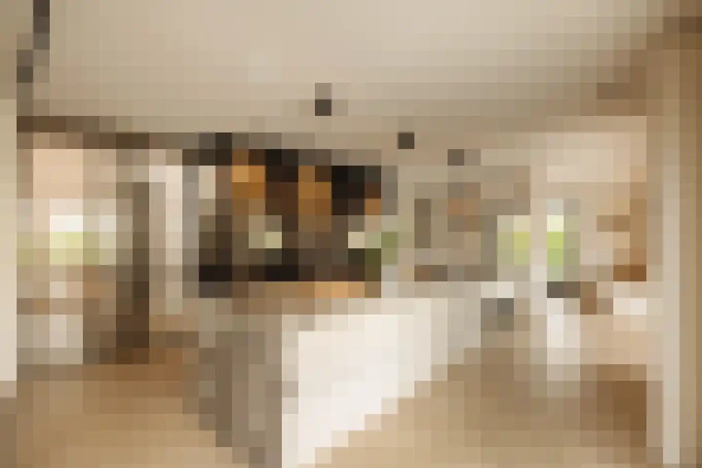 J.C. van Hattumweg 102 Amstelveen thumbnail 10