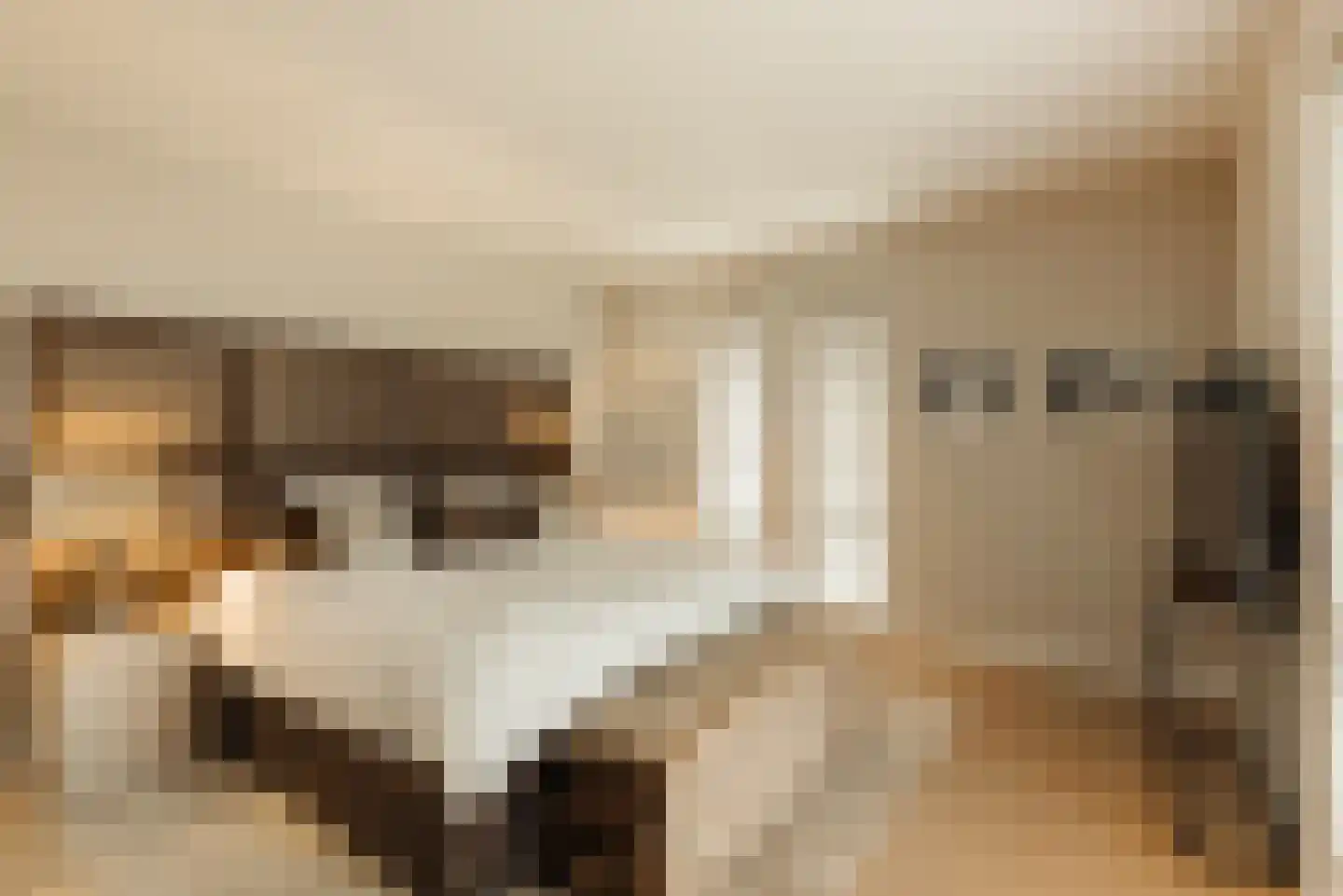 J.C. van Hattumweg 102 Amstelveen thumbnail 32