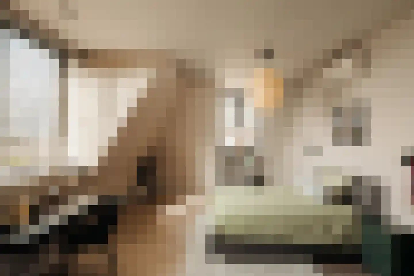 J.C. van Hattumweg 102 Amstelveen thumbnail 38