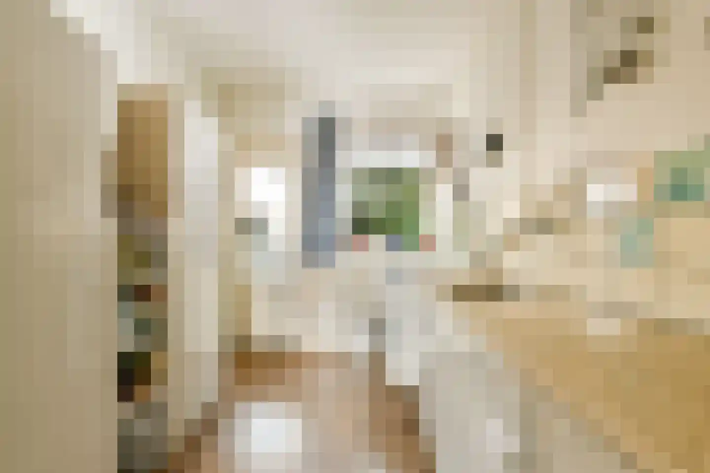 J.C. van Hattumweg 120 Amstelveen thumbnail 20