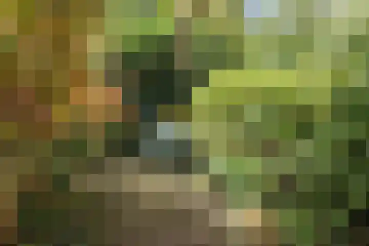 J.C. van Markenplein 8 Delft thumbnail 19