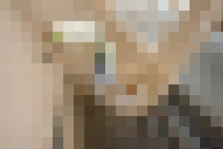 J.C. van Markenplein 8 Delft thumbnail 29