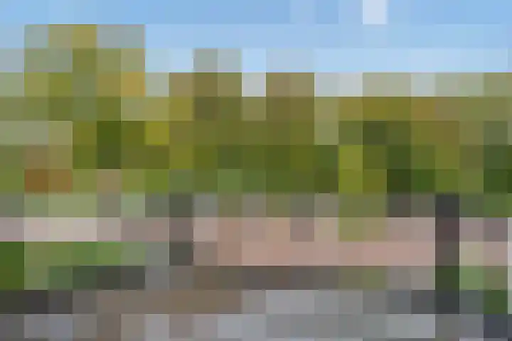 J.C. van Markenplein 8 Delft thumbnail 33