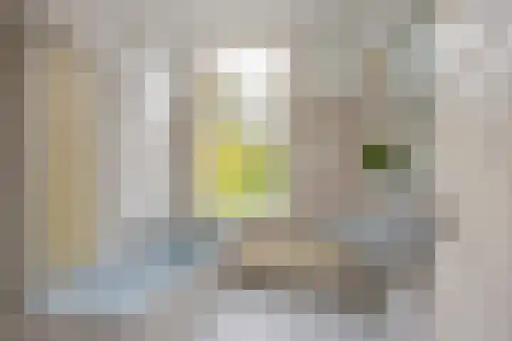 J.C. van Markenplein 8 Delft thumbnail 45