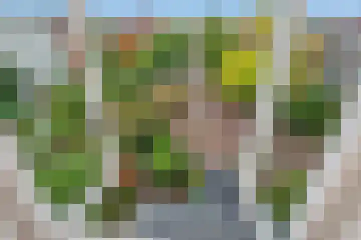 J.C. van Markenplein 8 Delft thumbnail 51