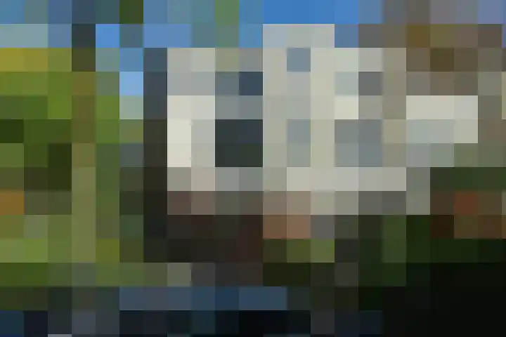J.C. van Markenplein 8 Delft thumbnail 62