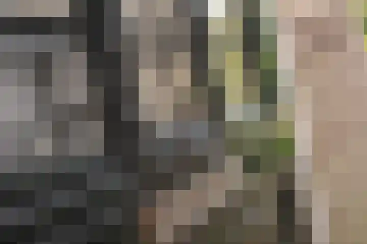 J.C. van Markenplein 8 Delft thumbnail 9