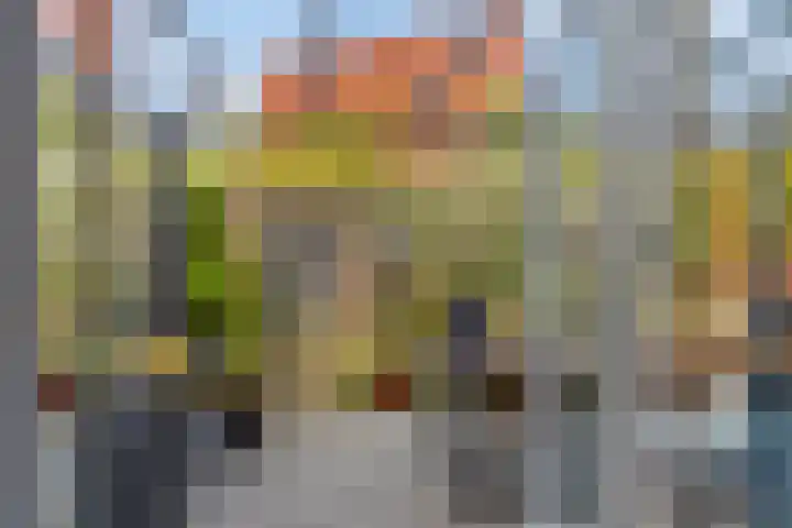 J.C. van Sleehof 29 Deventer thumbnail 11