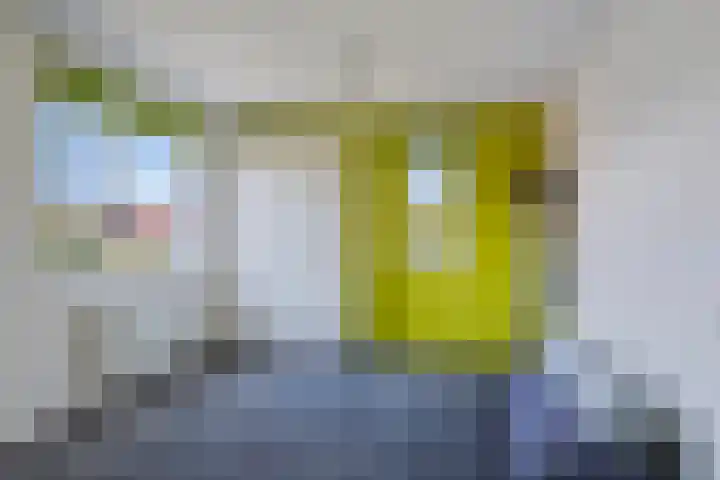 J.C. van Sleehof 29 Deventer thumbnail 21
