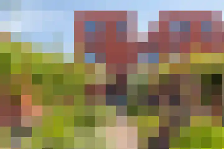 J.C. van Sleehof 29 Deventer thumbnail 26
