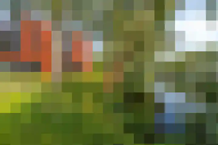 J.C. van Sleehof 29 Deventer thumbnail 30