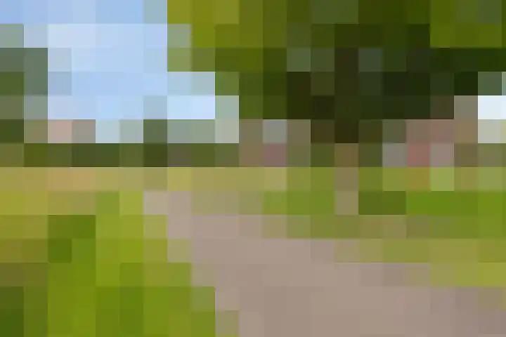 J.C. van Sleehof 29 Deventer thumbnail 31