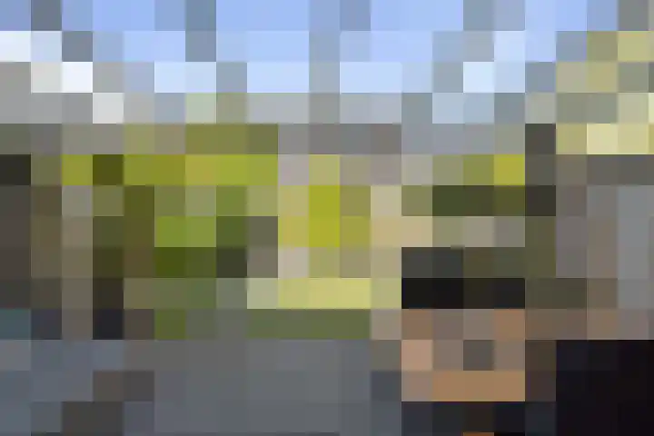 J.C. van Sleehof 3 Deventer thumbnail 21